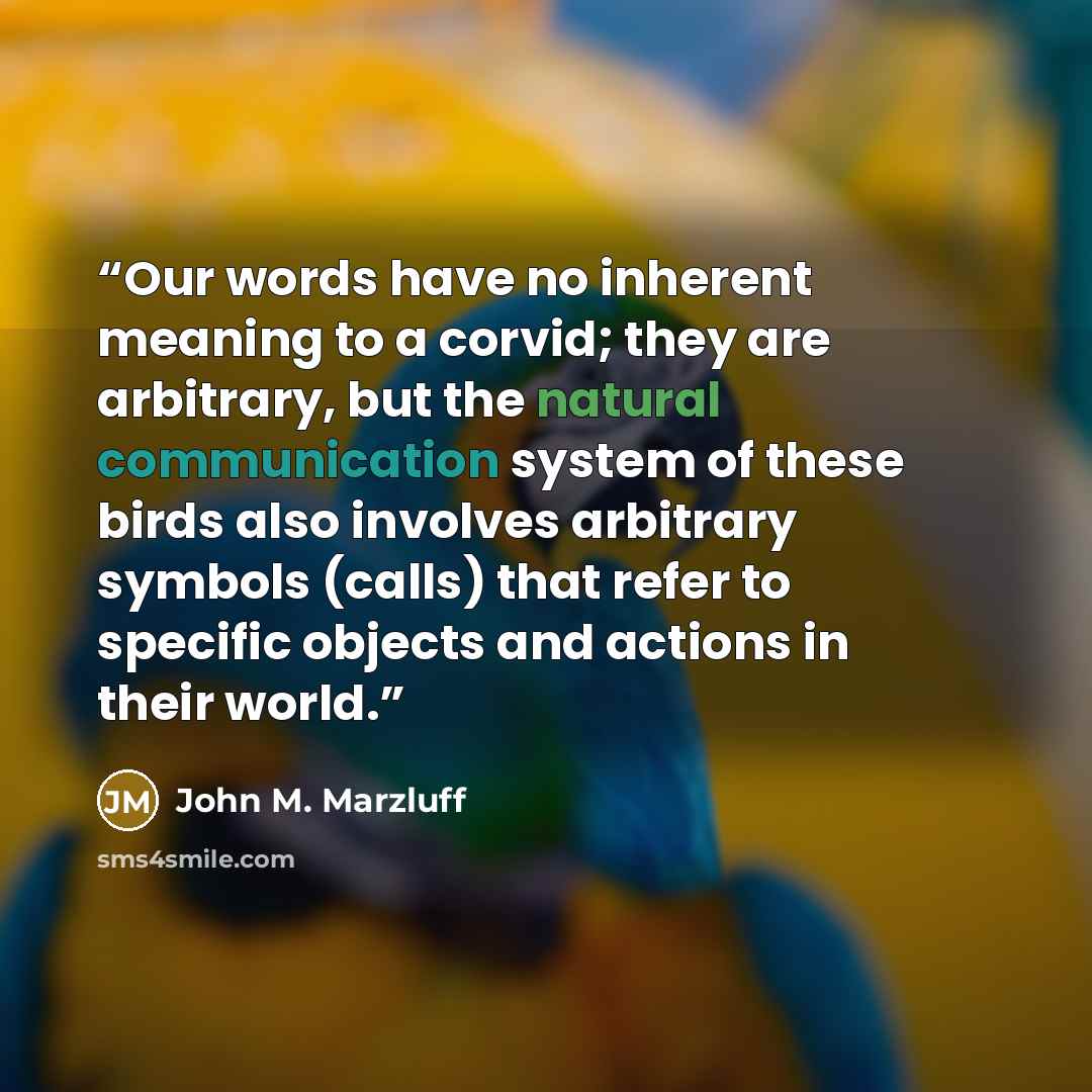 “Our words have no inherent meaning to a corvid; they are arbitrary, but the natural communication system of these birds also involves arbitrary symbols (calls) that refer to specific objects and actions in their world.” quote by John M. Marzluff