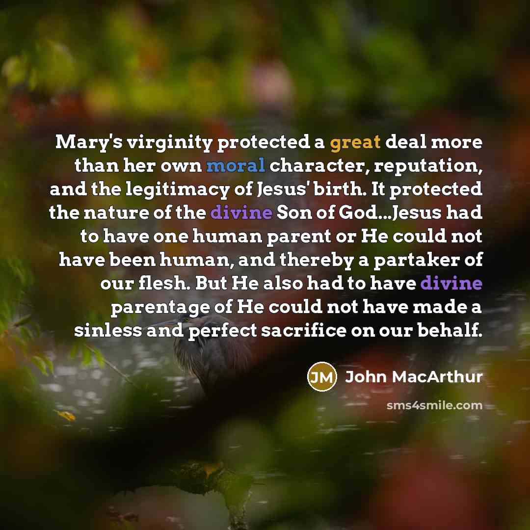 “Mary's virginity protected a great deal more than her own…” quote by John Macarthur