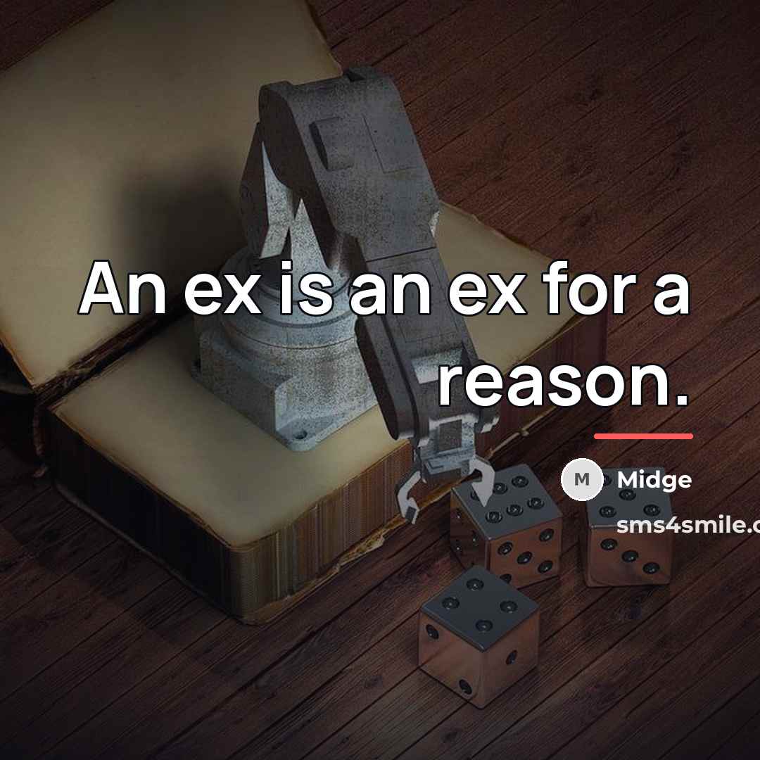 “An ex is an ex for a reason.…” quote by Midge