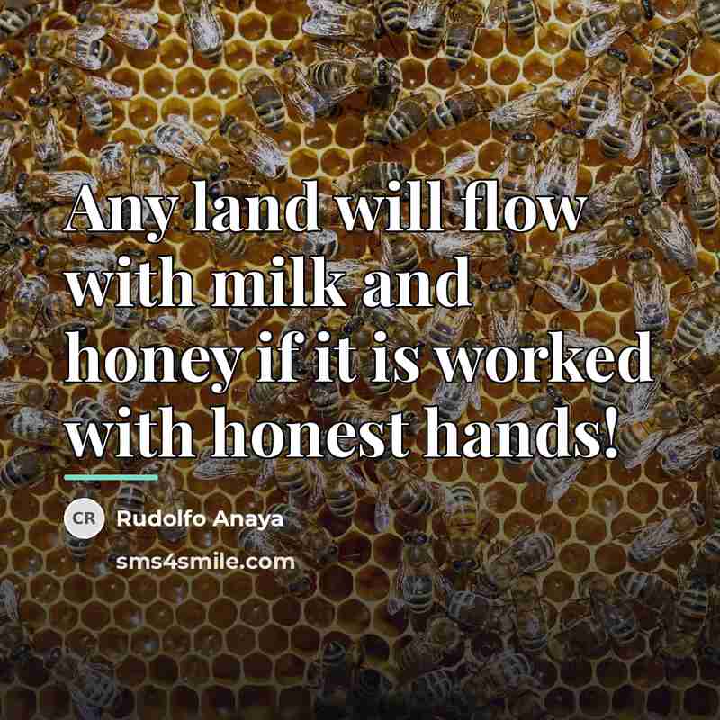 “Any land will flow with milk and honey if it…” quote by Rudolfo Anaya