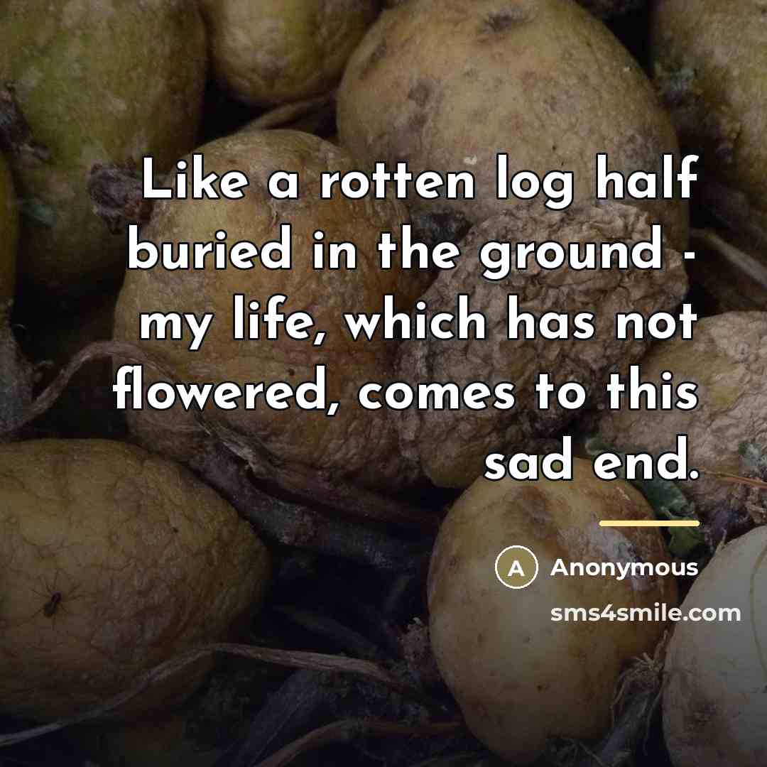 “Like a rotten log half buried in the ground -…” quote by Anonymous