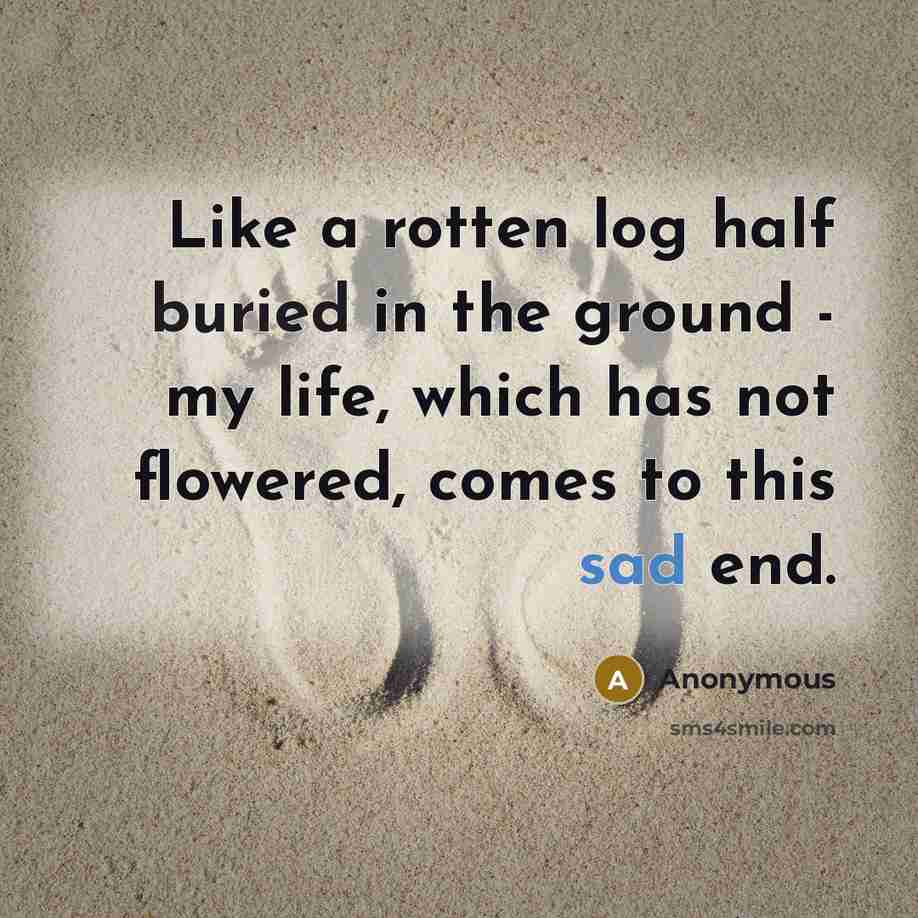 “Like a rotten log half buried in the ground - my life, which has not flowered, comes to this sad end.” quote by Anonymous