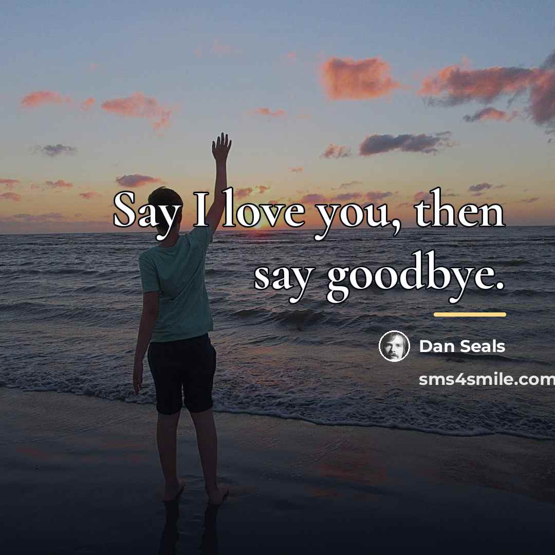 “Say I love you, then say goodbye.…” quote by Dan Seals