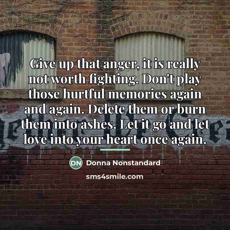“Give up that anger, it is really not worth fighting.…” quote by Donna Nonstandard
