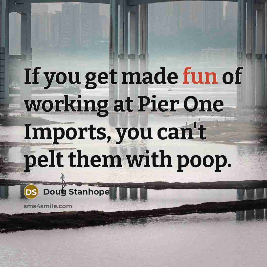 “If you get made fun of working at Pier One…” quote by Doug Stanhope