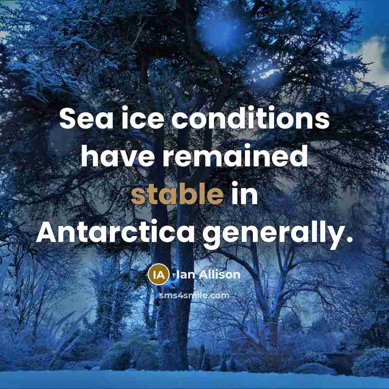 “Sea ice conditions have remained stable in Antarctica generally.…” quote by Ian Allison