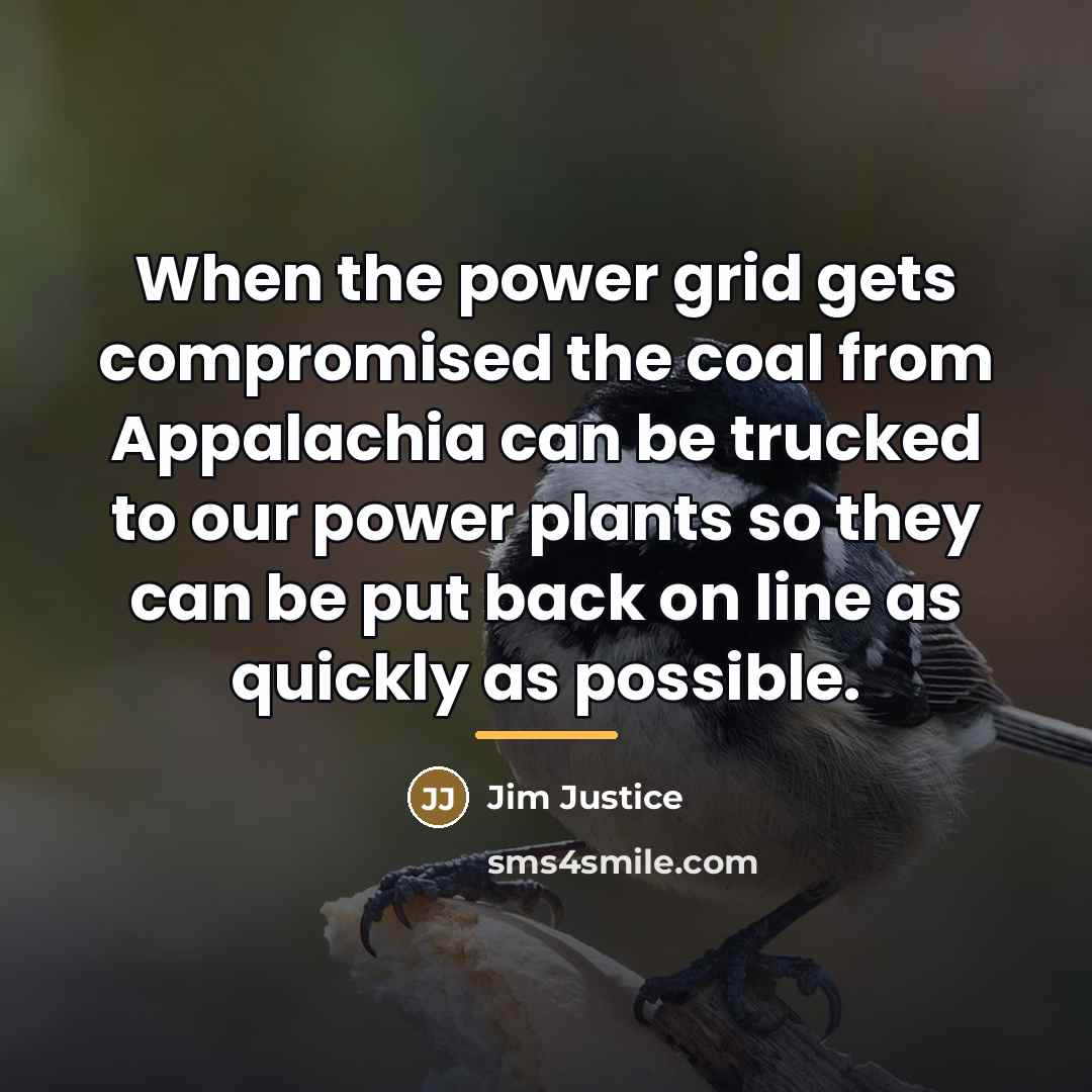 “When the power grid gets compromised the coal from Appalachia…” quote by Jim Justice