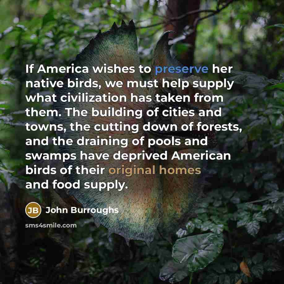 “If America wishes to preserve her native birds, we must…” quote by John Burroughs