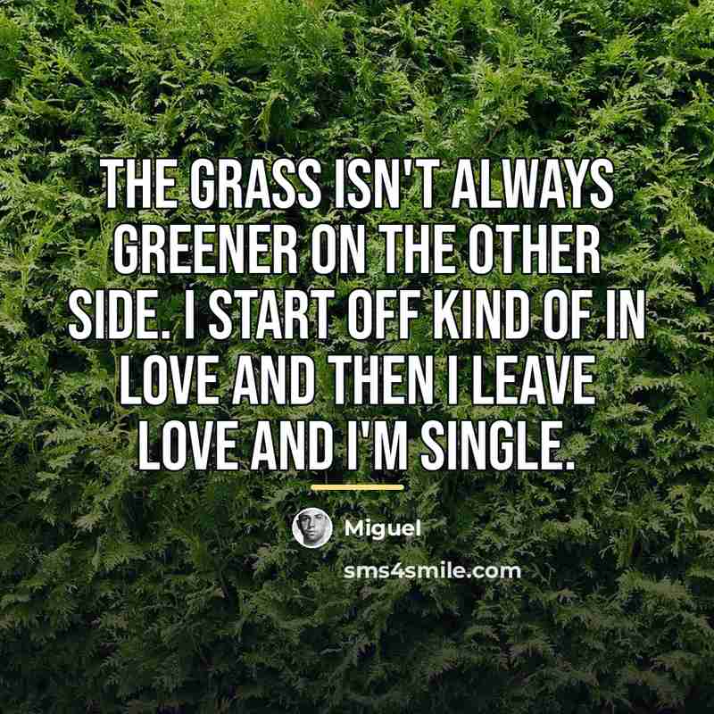 “The grass isn't always greener on the other side. I…” quote by Miguel