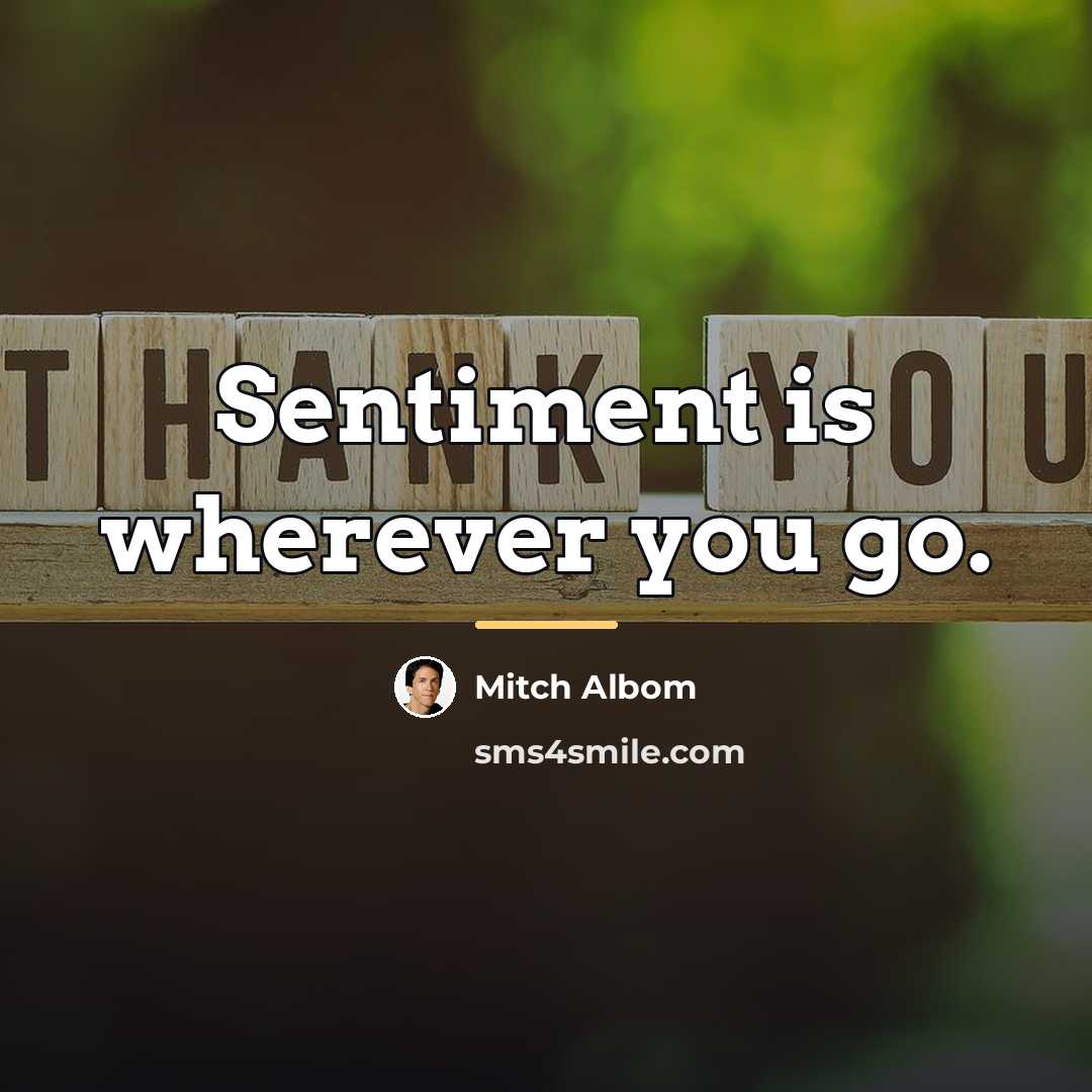 “Sentiment is wherever you go.…” quote by Mitch Albom