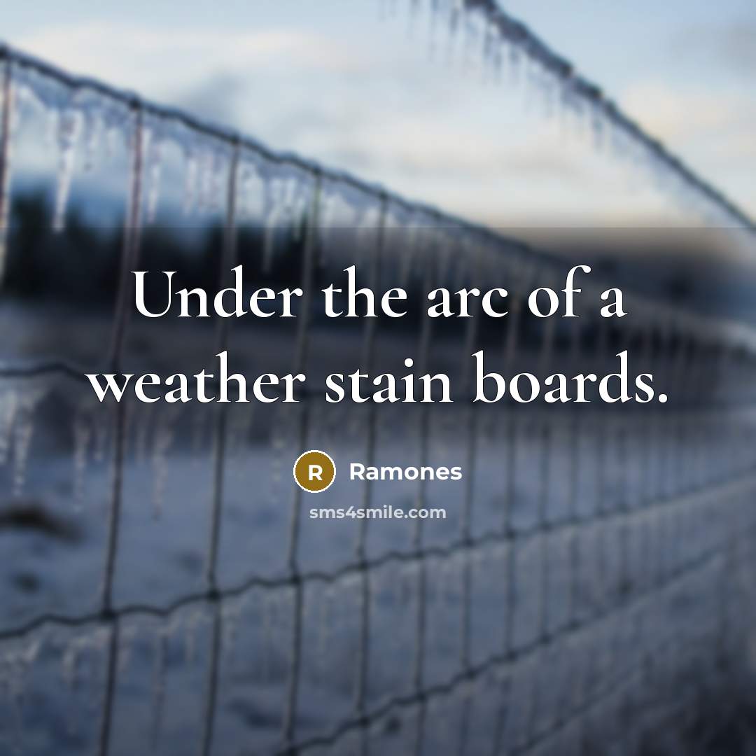 “Under the arc of a weather stain boards.…” quote by Ramones