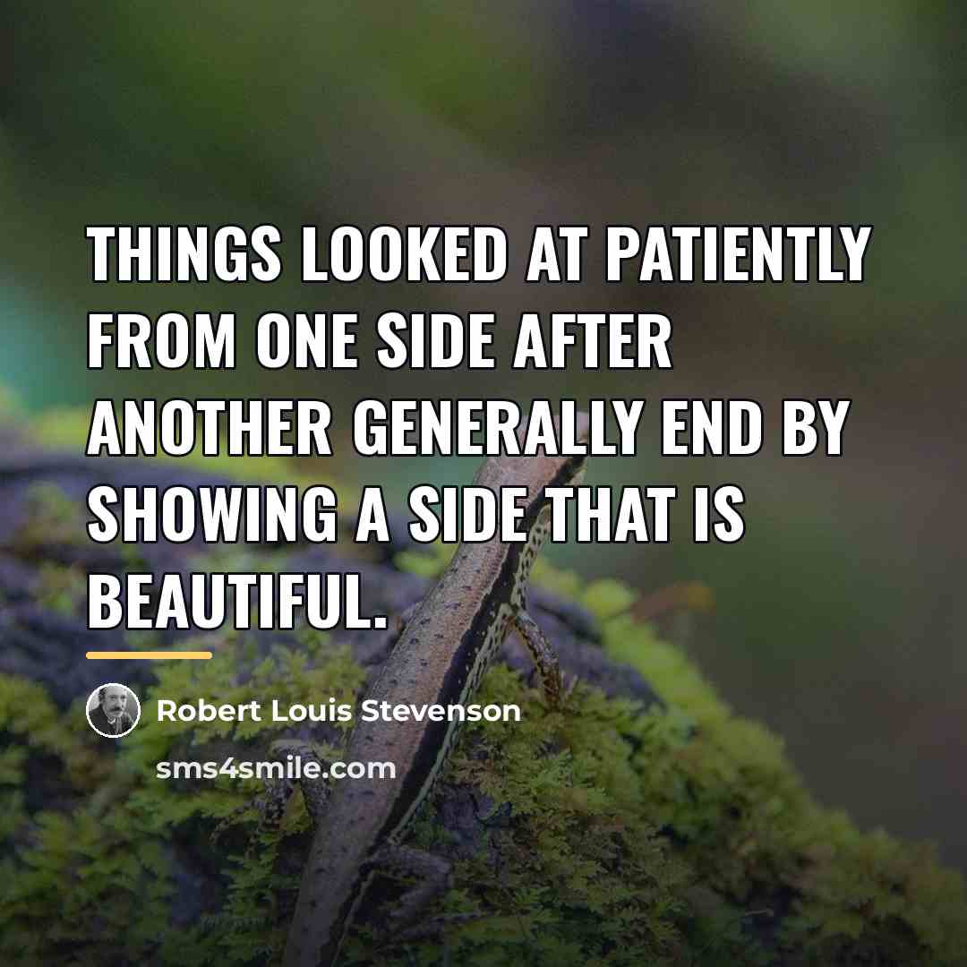 “Things looked at patiently from one side after another generally…” quote by Robert Louis Stevenson