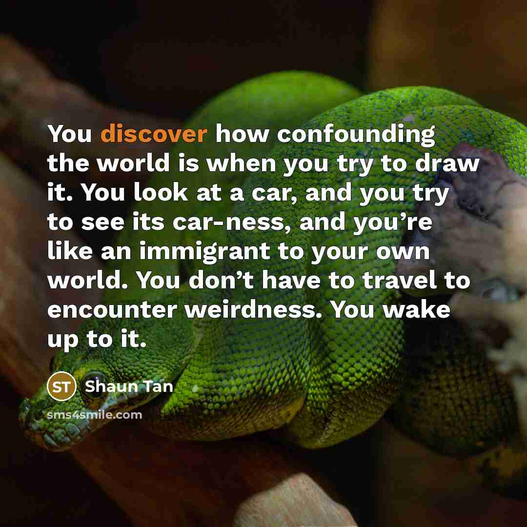 “You discover how confounding the world is when you try…” quote by Shaun Tan