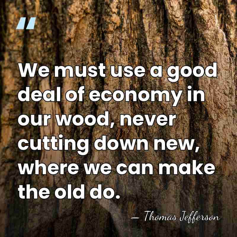 We must use a good deal of economy in our wood, never&hellip; - Thomas Jefferson