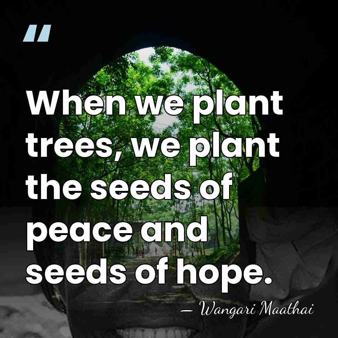 When we plant trees, we plant the seeds of peace and seeds&hellip; - Wangari Maathai