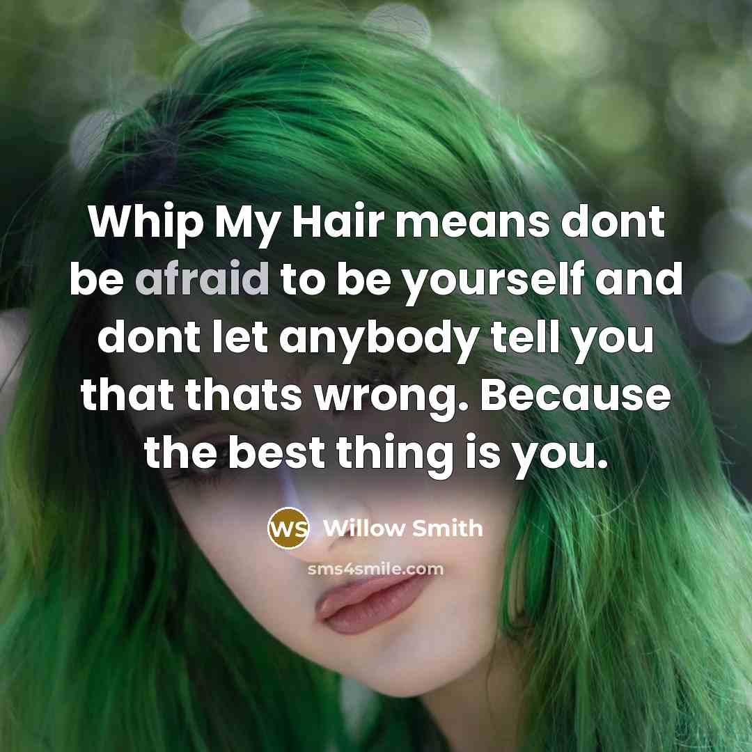 “Whip My Hair means dont be afraid to be yourself…” quote by Willow Smith