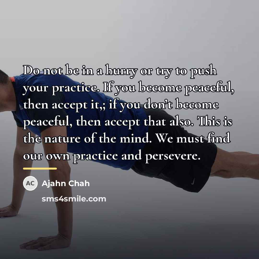 “Do not be in a hurry or try to push…” quote by Ajahn Chah