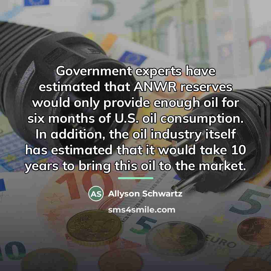 “Government experts have estimated that ANWR reserves would only provide…” quote by Allyson Schwartz