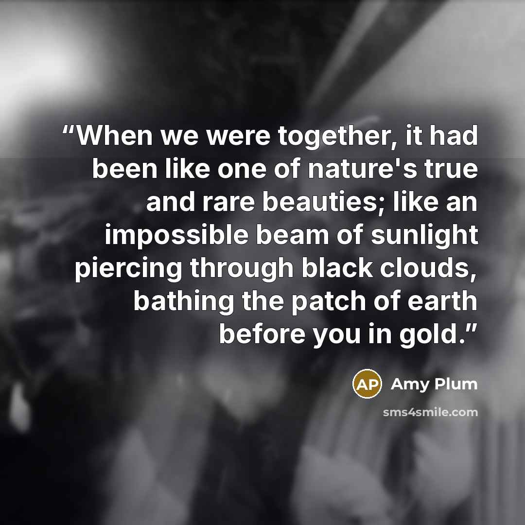 “When we were together, it had been like one of nature's true and rare beauties; like an impossible beam of sunlight piercing through black clouds, bathing the patch of earth before you in gold.” quote by Amy Plum