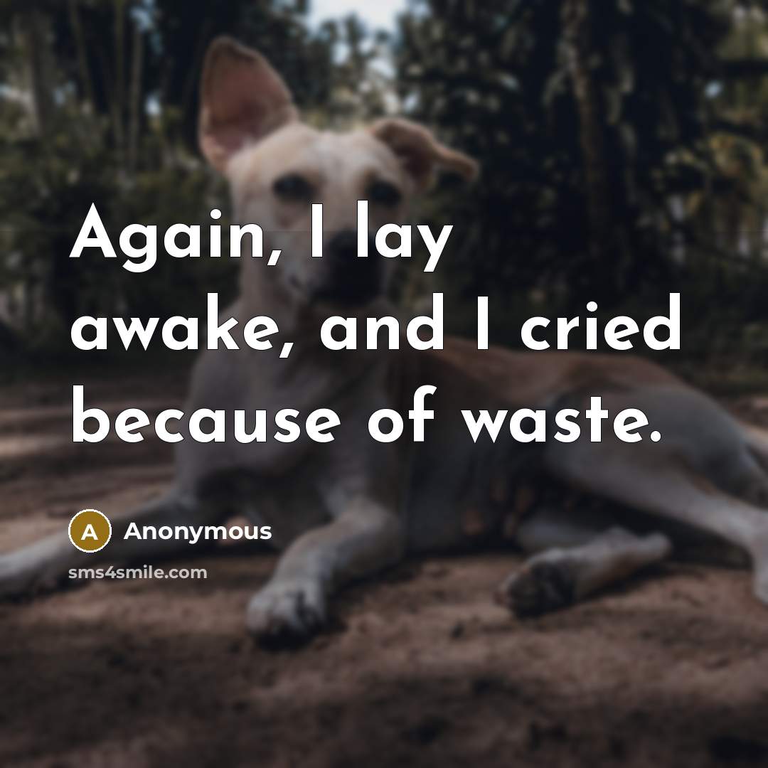 “Again, I lay awake, and I cried because of waste.…” quote by Anonymous