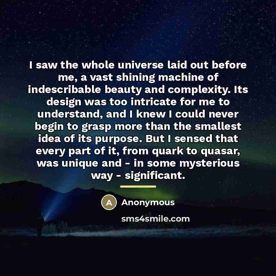 “I saw the whole universe laid out before me, a…” quote by Anonymous