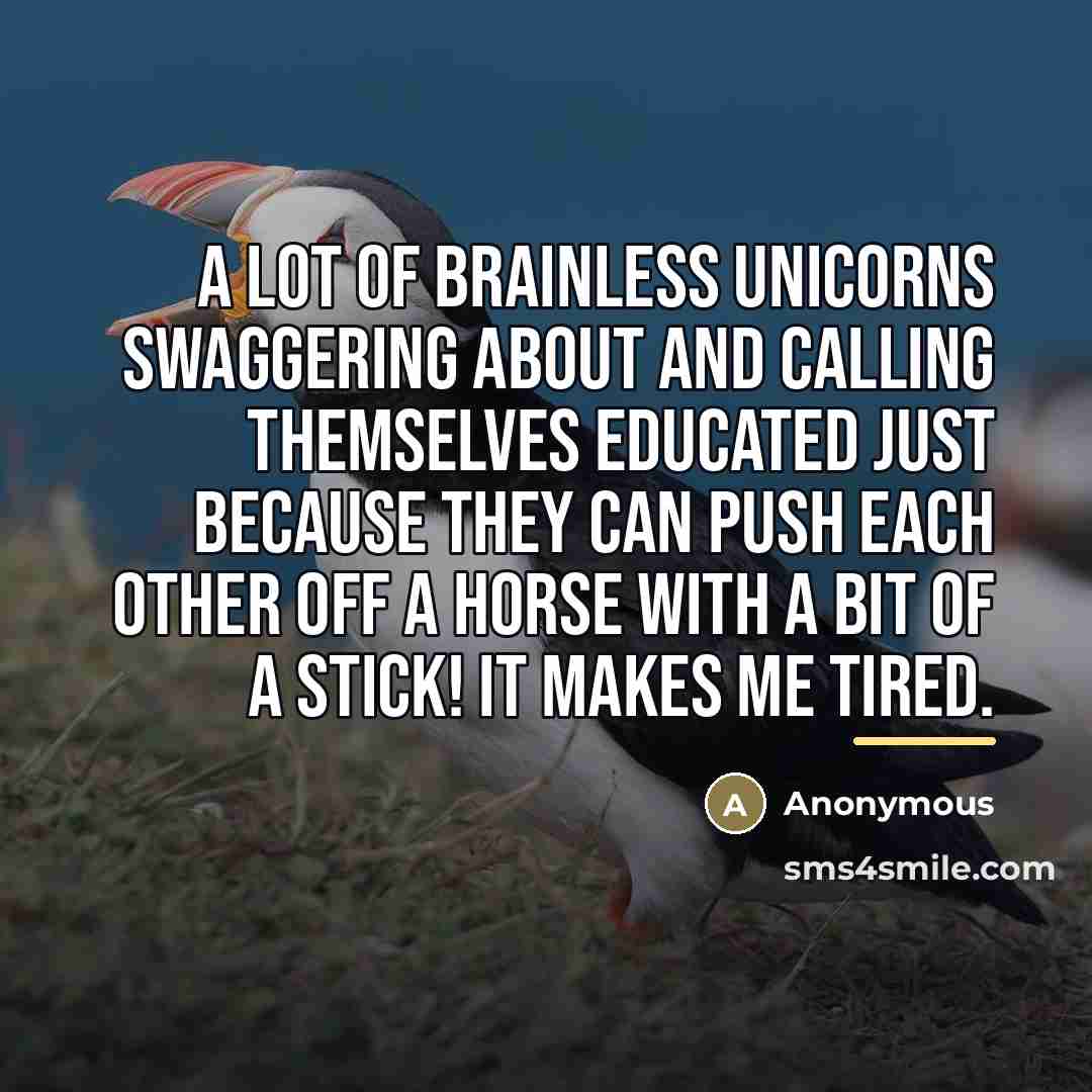 “A lot of brainless unicorns swaggering about and calling themselves…” quote by Anonymous