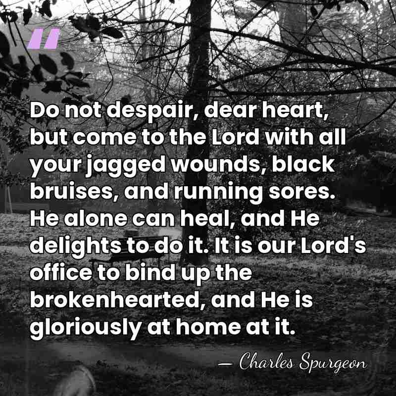 Do not despair, dear heart, but come to the Lord with all&hellip; - Charles Spurgeon