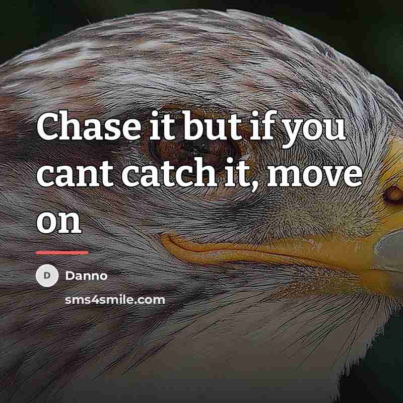 “Chase it but if you cant catch it, move on…” quote by Danno