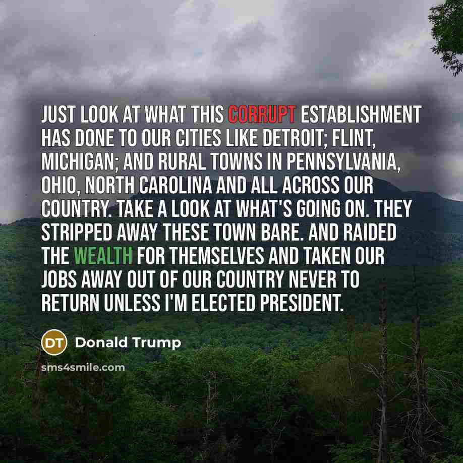 “Just look at what this corrupt establishment has done to…” quote by Donald Trump