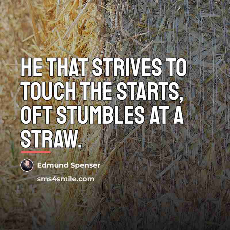 “He that strives to touch the starts, oft stumbles at…” quote by Edmund Spenser