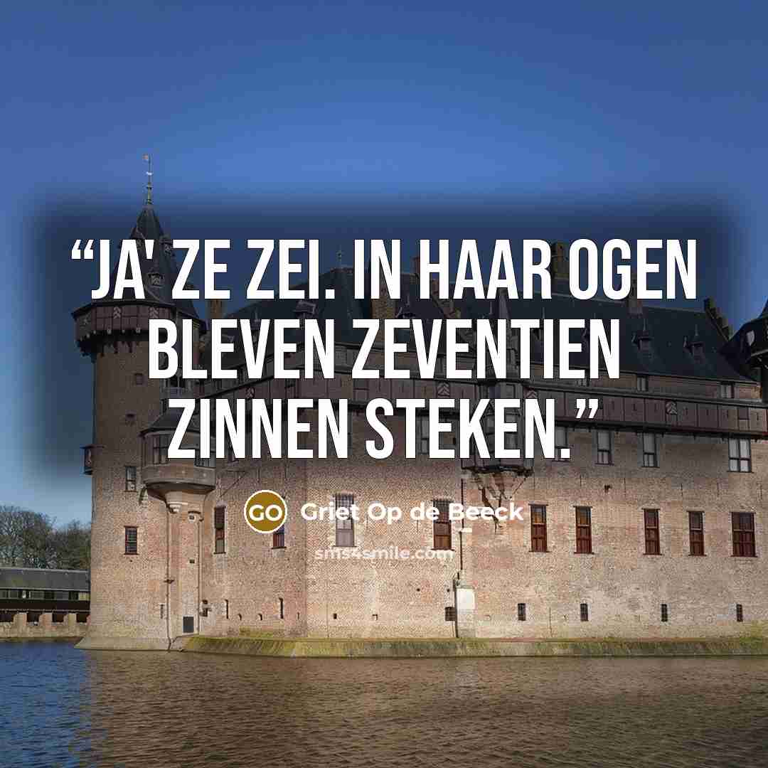 “Ja' ze zei. In haar ogen bleven zeventien zinnen steken.” quote by Griet Op de Beeck