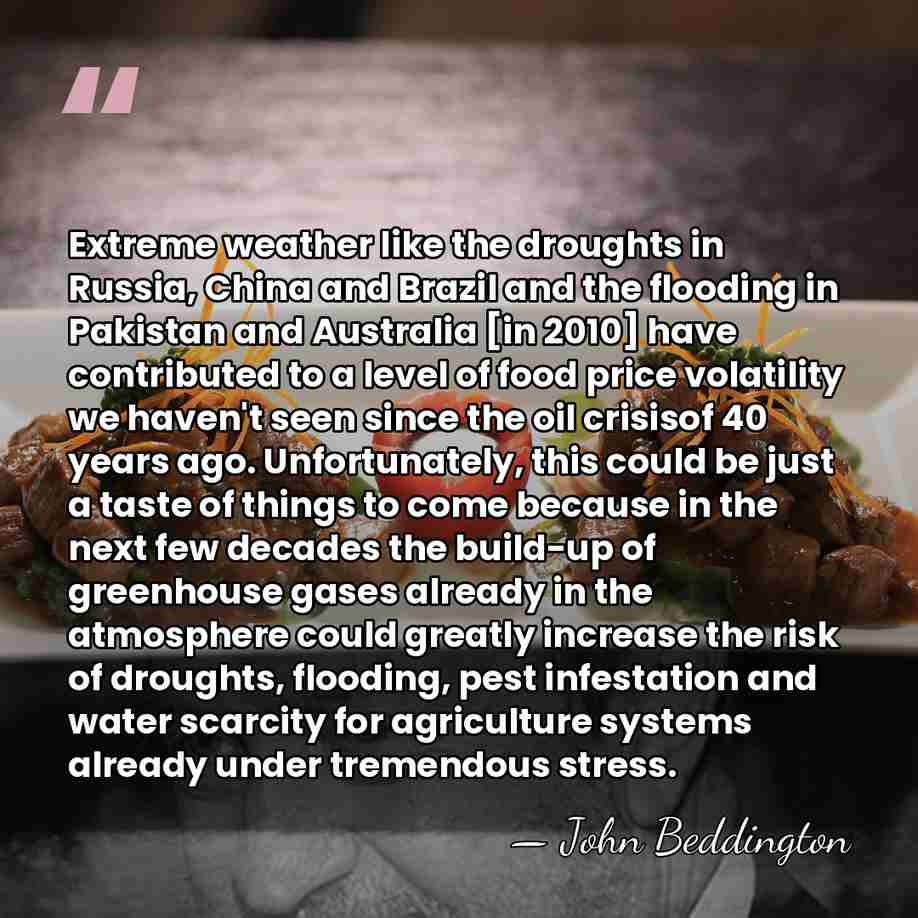 Extreme weather like the droughts in Russia, China and Brazil and the&hellip; - John Beddington