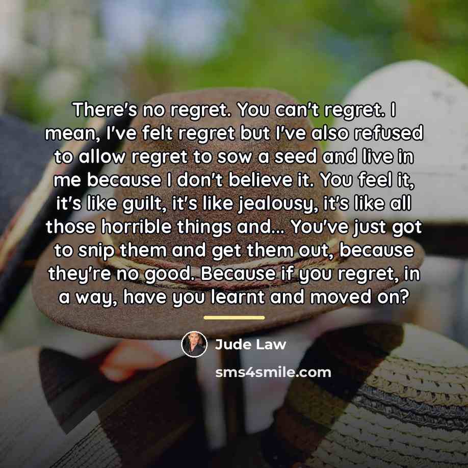 “There's no regret. You can't regret. I mean, I've felt…” quote by Jude Law