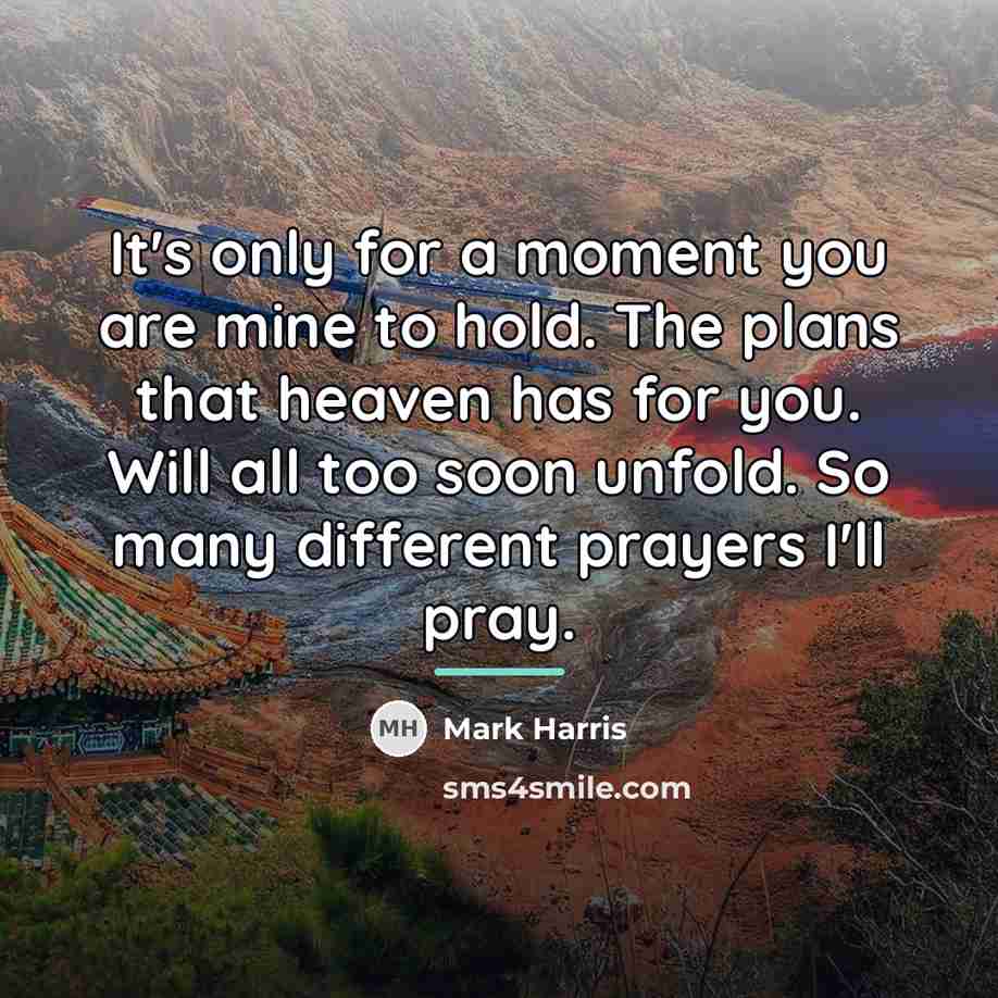 “It's only for a moment you are mine to hold.…” quote by Mark Harris