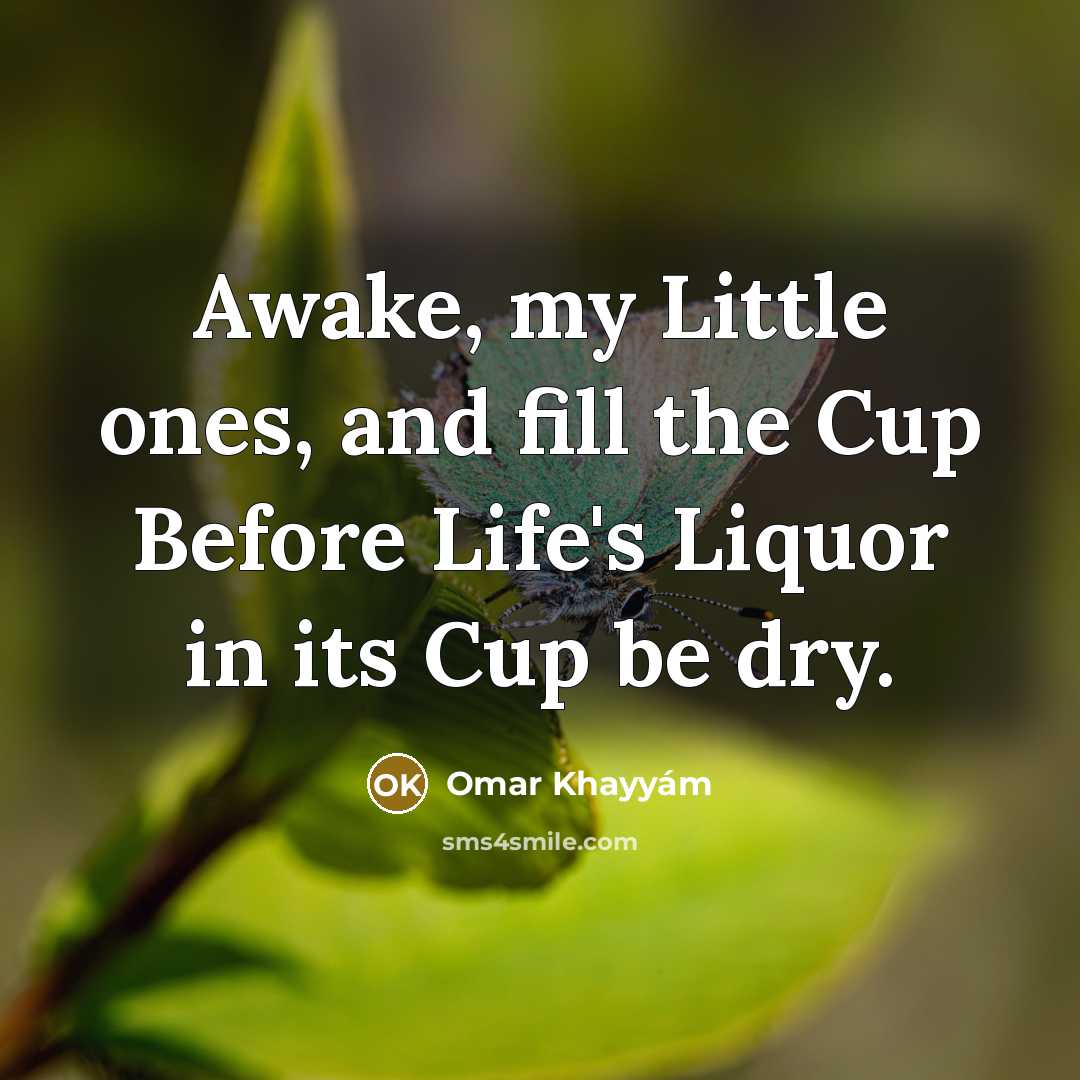 “Awake, my Little ones, and fill the Cup Before Life's…” quote by Omar Khayyam