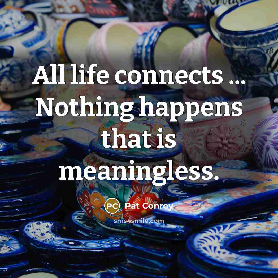 “All life connects ... Nothing happens that is meaningless.…” quote by Pat Conroy