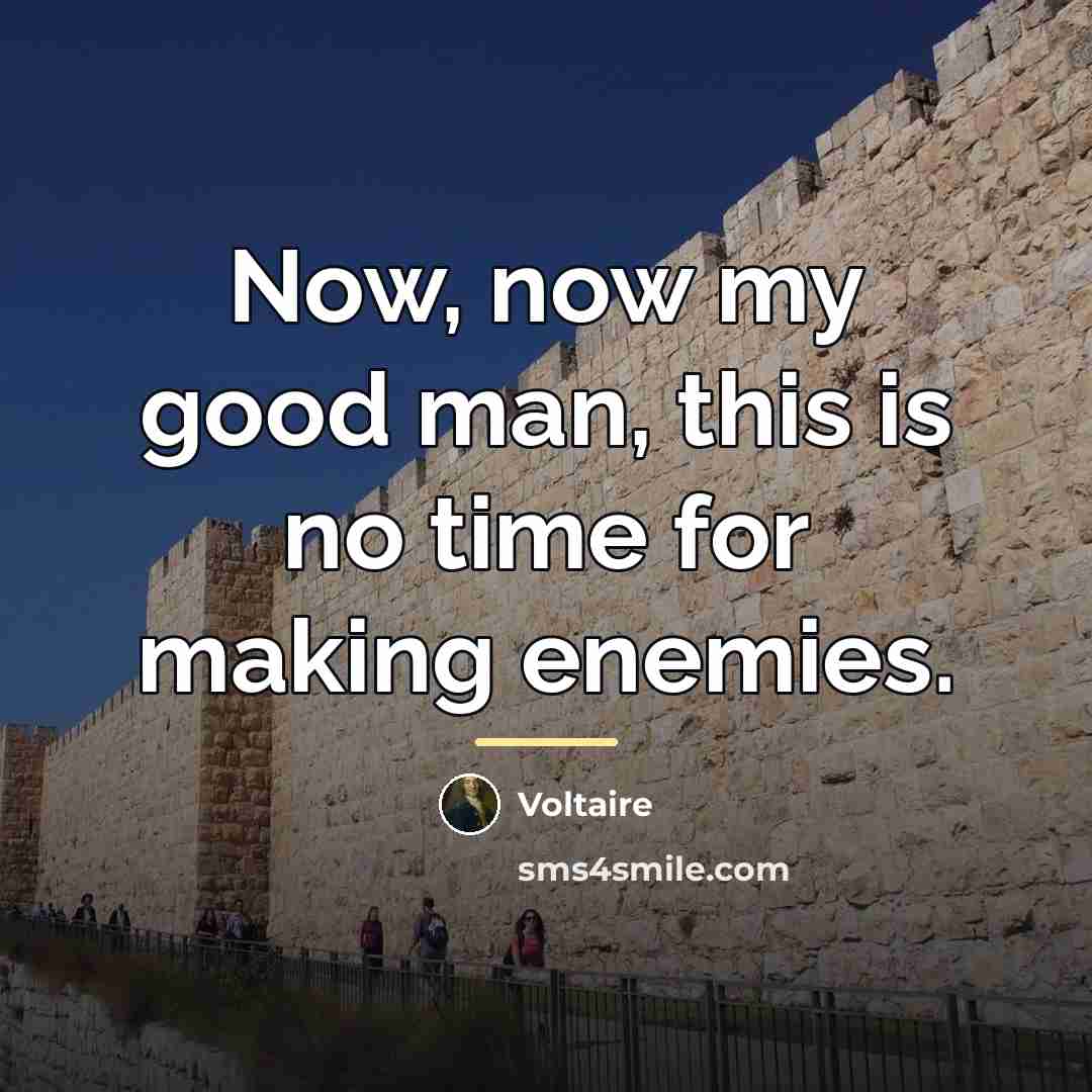 “Now, now my good man, this is no time for…” quote by Voltaire