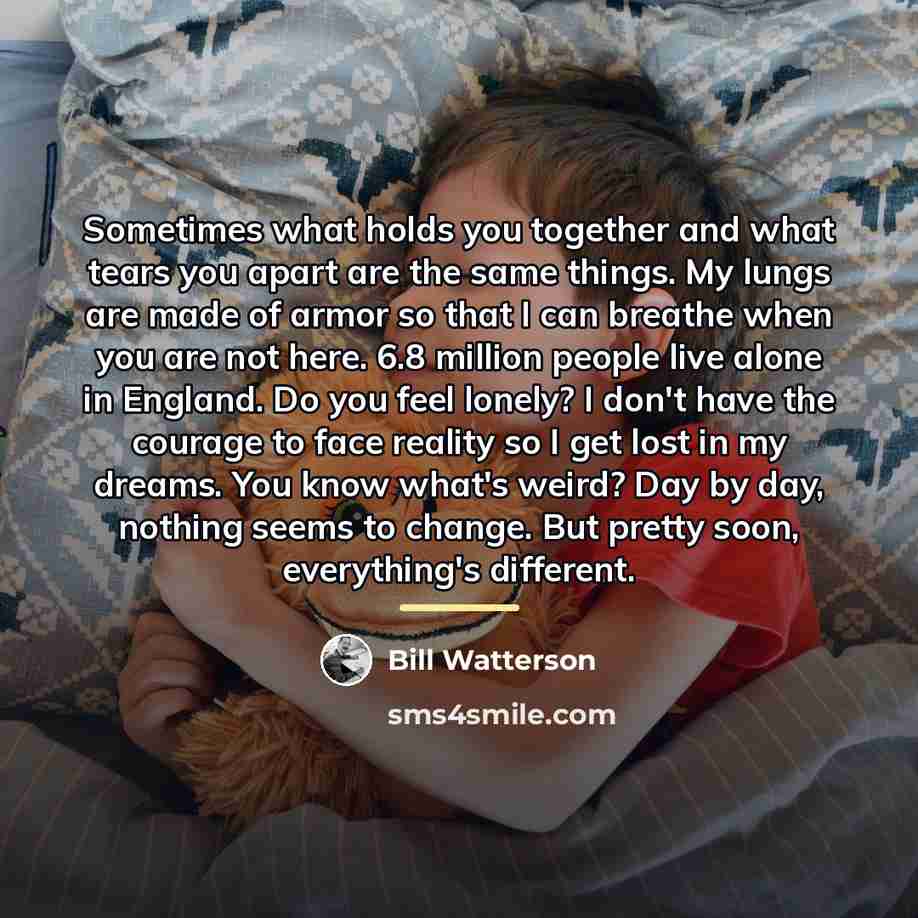 “Sometimes what holds you together and what tears you apart…” quote by Bill Watterson