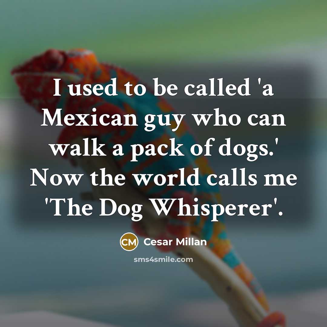 “I used to be called 'a Mexican guy who can walk a pack of dogs.' Now the world calls me 'The Dog Whisperer'.” quote by Cesar Millan