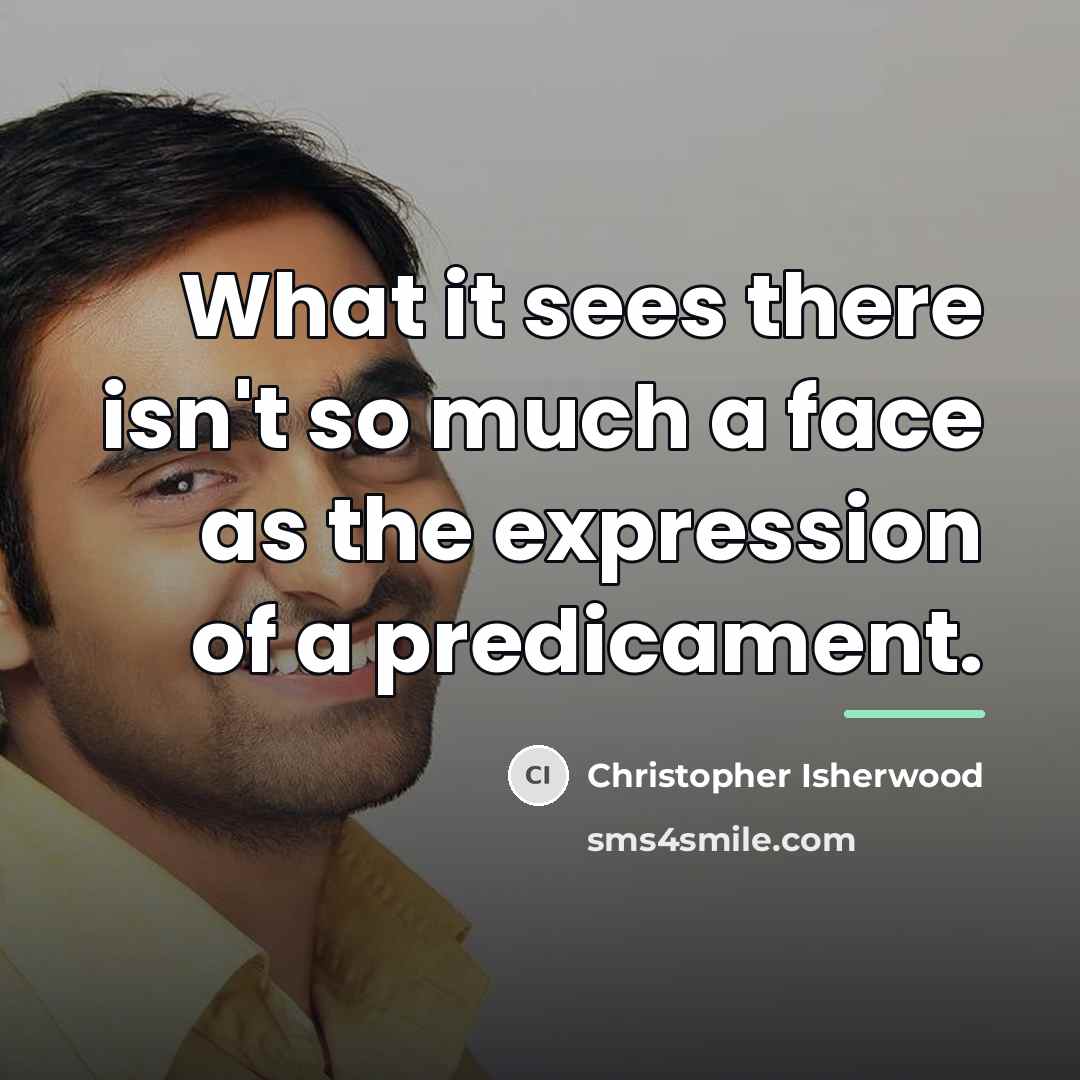“What it sees there isn't so much a face as…” quote by Christopher Isherwood
