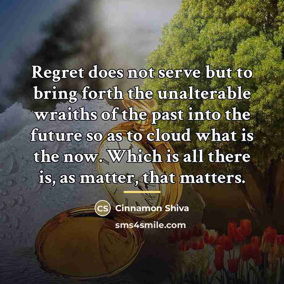 “Regret does not serve but to bring forth the unalterable…” quote by Cinnamon Shiva