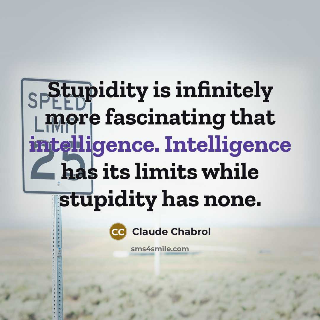 “Stupidity is infinitely more fascinating that intelligence. Intelligence has its…” quote by Claude Chabrol
