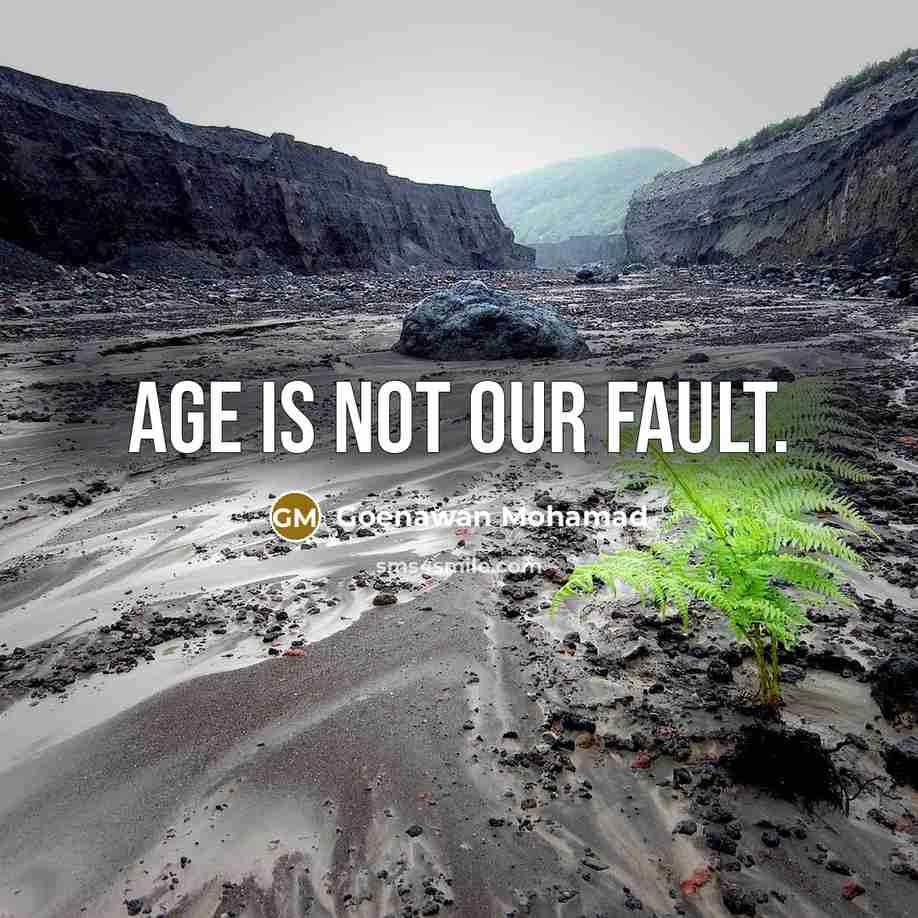 “Age is not our fault.…” quote by Goenawan Mohamad