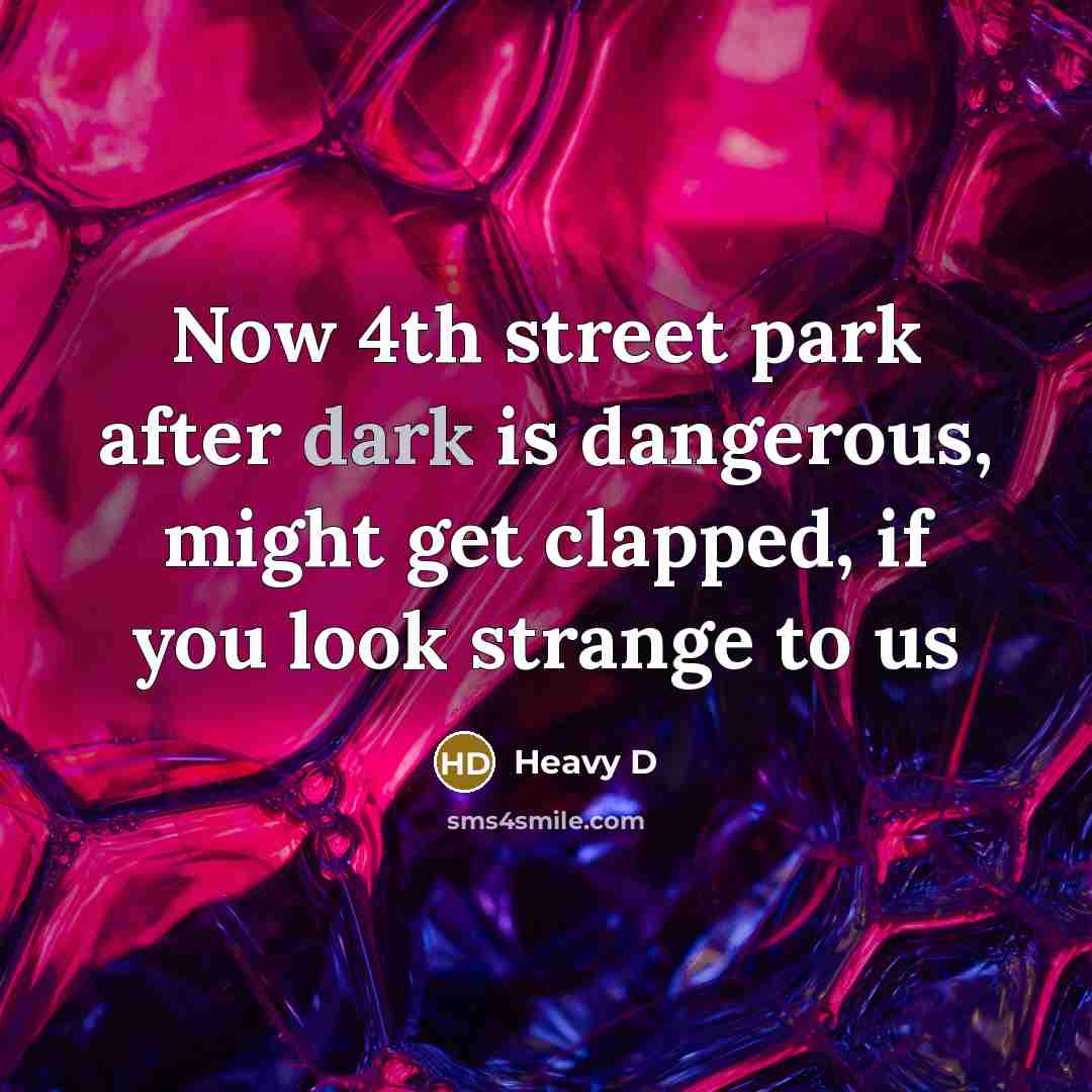 “Now 4th street park after dark is dangerous, might get…” quote by Heavy D