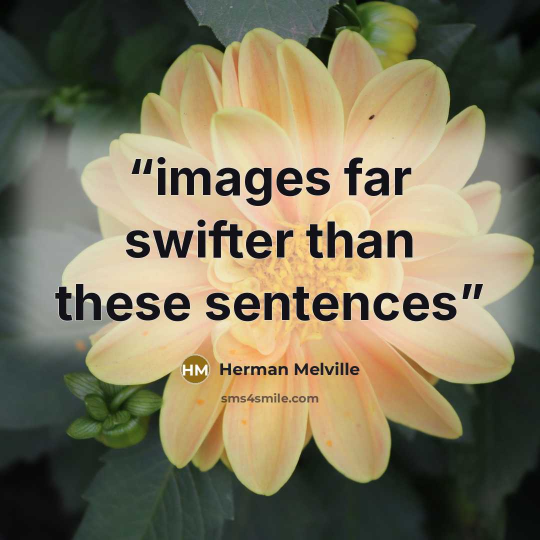 “images far swifter than these sentences” quote by Herman Melville