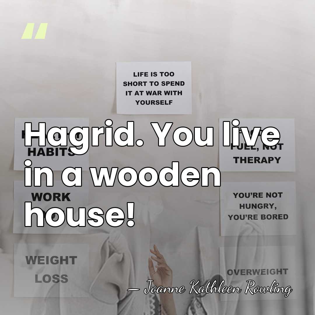 Hagrid. You live in a wooden house! - Joanne Kathleen Rowling