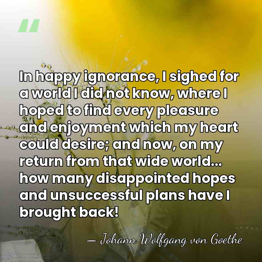 In happy ignorance, I sighed for a world I did not know,&hellip; - Johann Wolfgang von Goethe