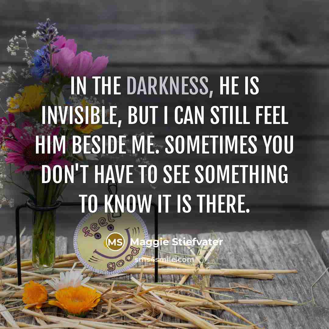 “In the darkness, he is invisible, but I can still…” quote by Maggie Stiefvater