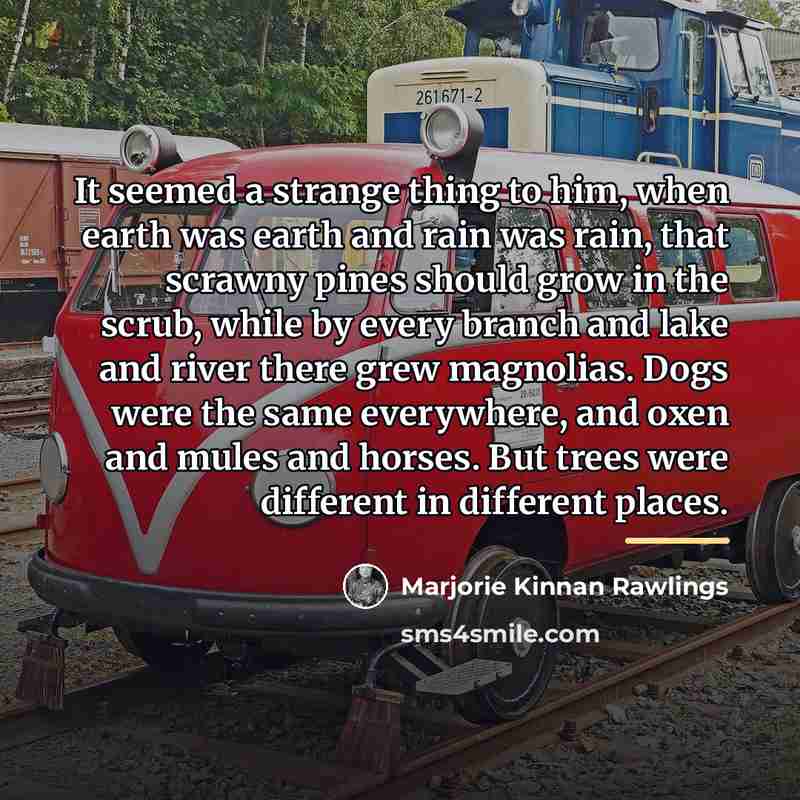 “It seemed a strange thing to him, when earth was…” quote by Marjorie Kinnan Rawlings