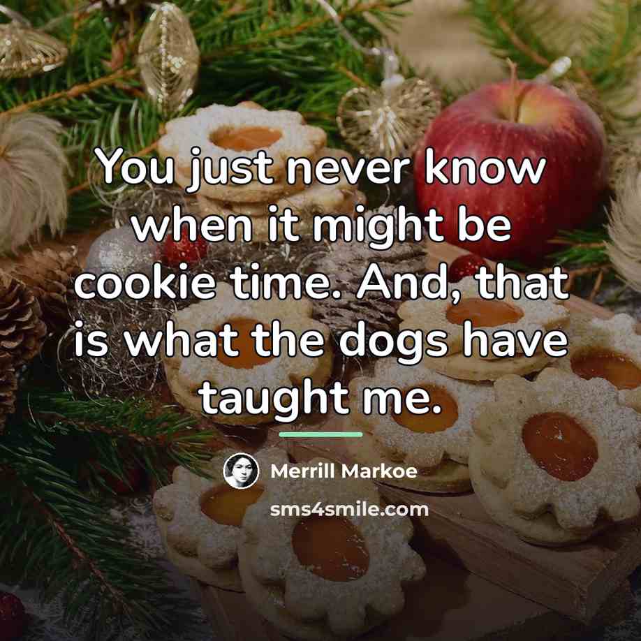 “You just never know when it might be cookie time.…” quote by Merrill Markoe